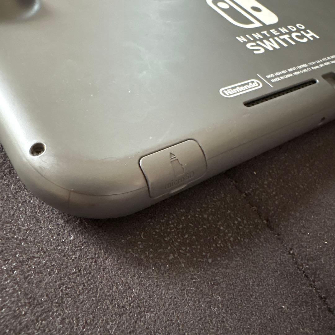 Nintendo Switch Lite グレー 本体、ACアダプター