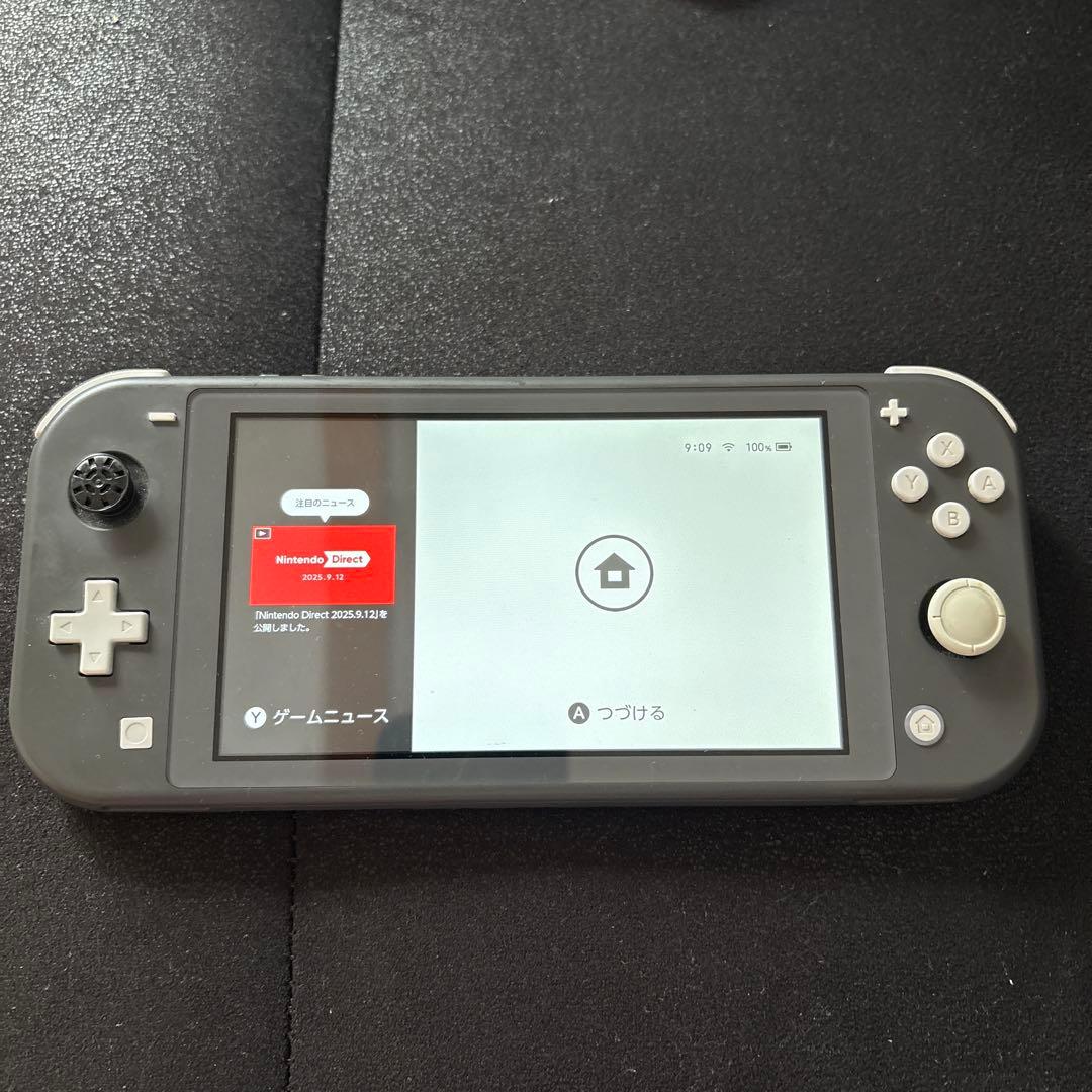 Nintendo Switch Lite グレー 本体、ACアダプター
