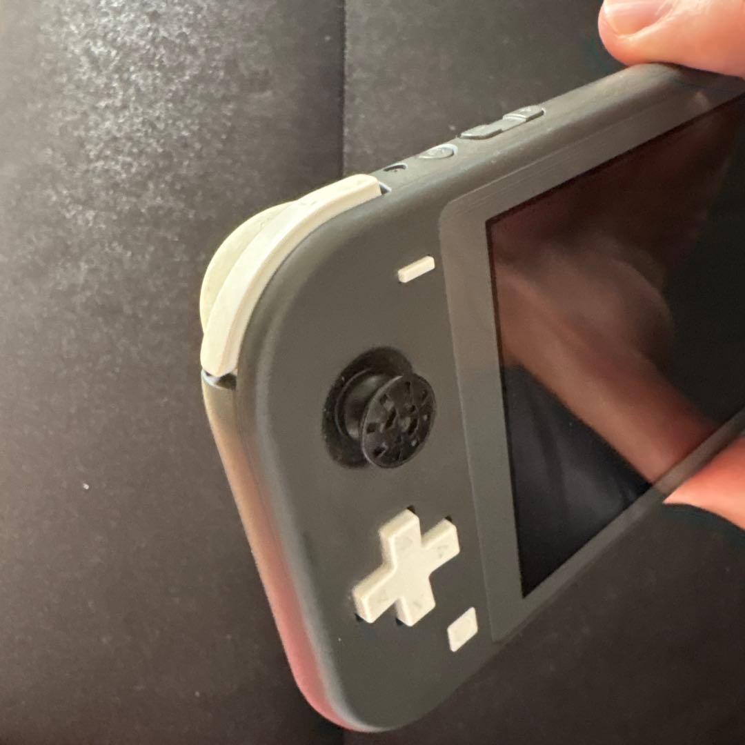Nintendo Switch Lite グレー 本体、ACアダプター