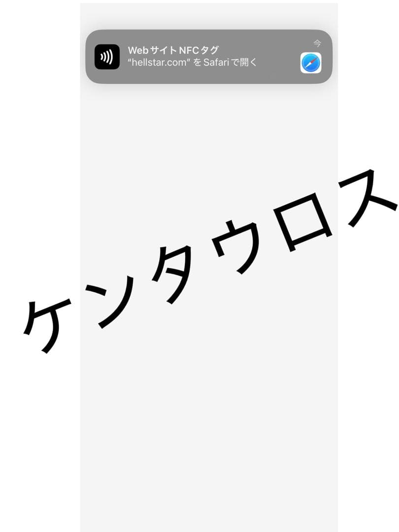 HELLSTER ハーフパンツ XL