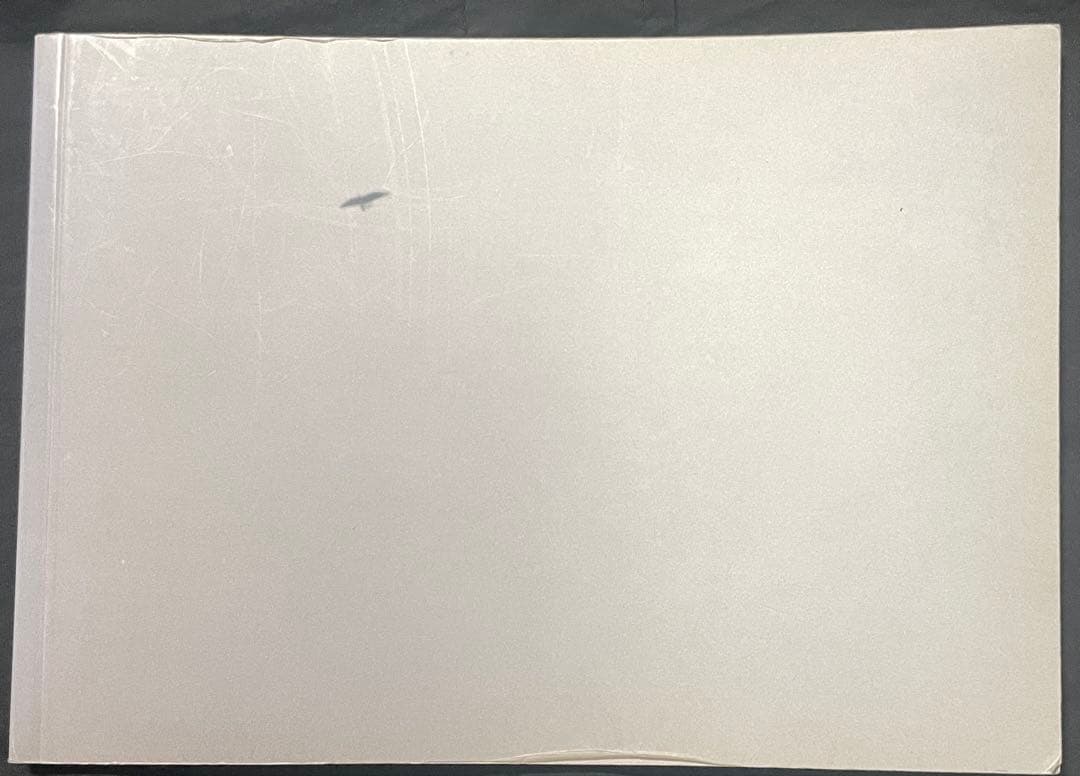 Félix González-Torres America