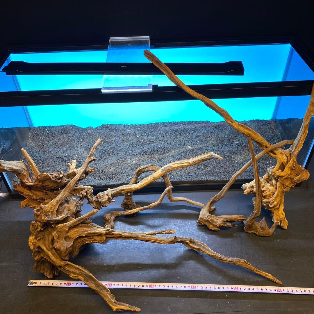 MSRW-6620 天然流木レイアウトセット　スリムウッド　アクアリウム
