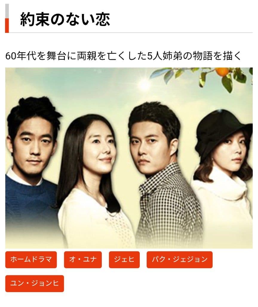 韓国ドラマ 約束のない恋 DVD-BOX1〜4 全話コンプリート ユン・ジョンヒ