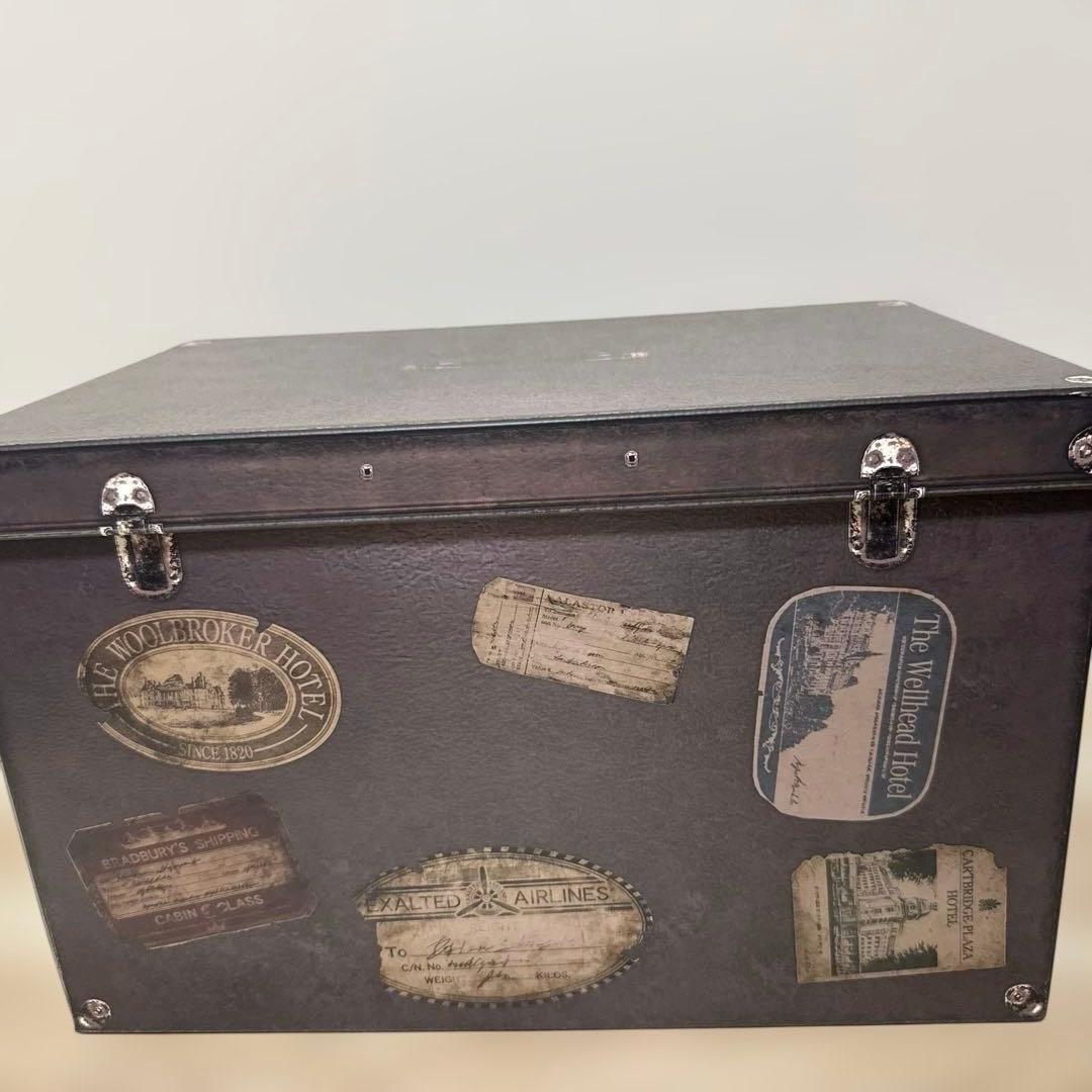 バイオハザードヴィレッジコレクターズエディション(ゲームなし)