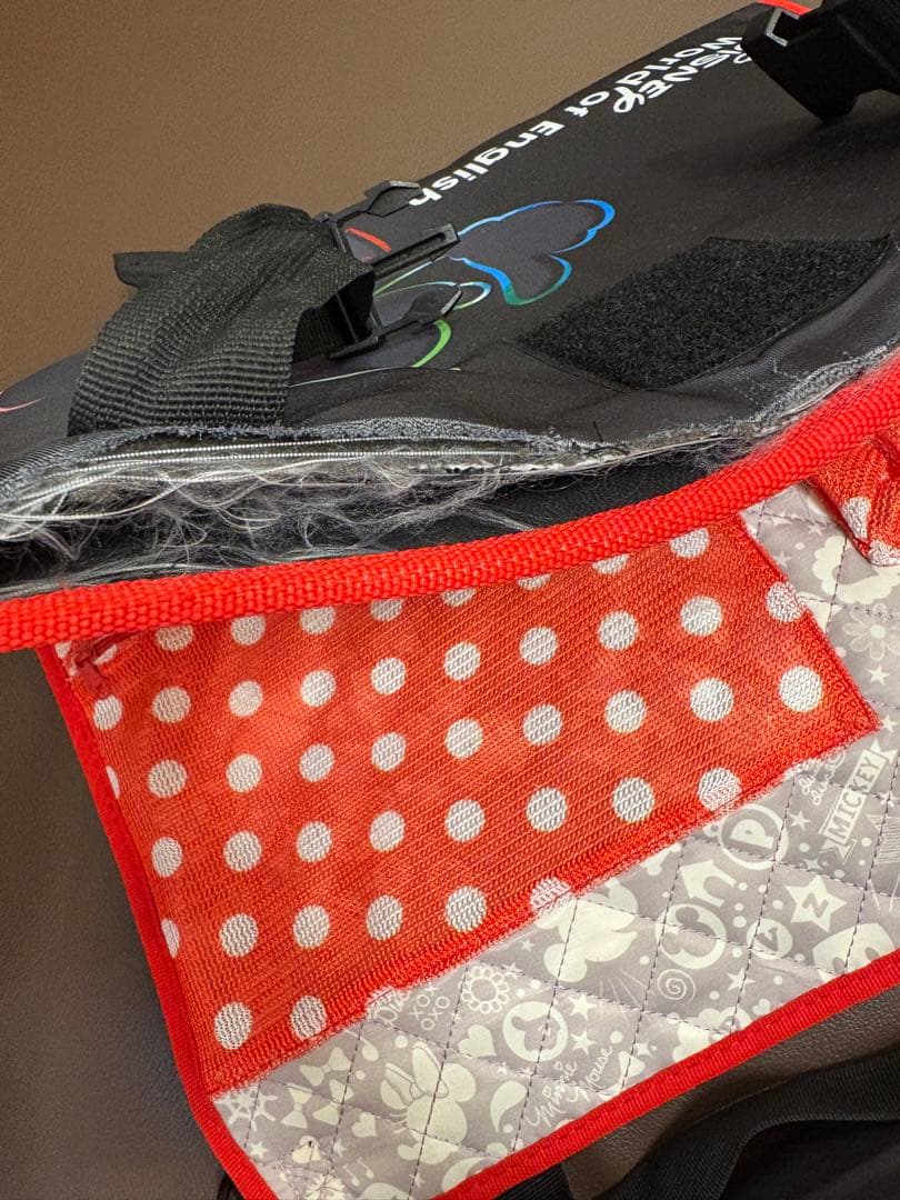 【2023年正規購入】DWE ミッキー ブルーレイメイト ※カーポケット付き