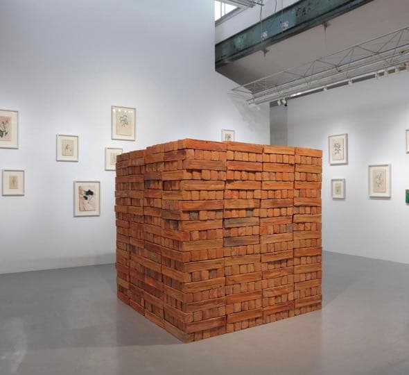 Bosco SODI ボスコソディ