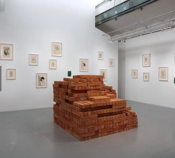 Bosco SODI ボスコソディ