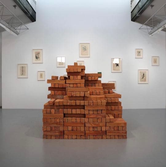 Bosco SODI ボスコソディ