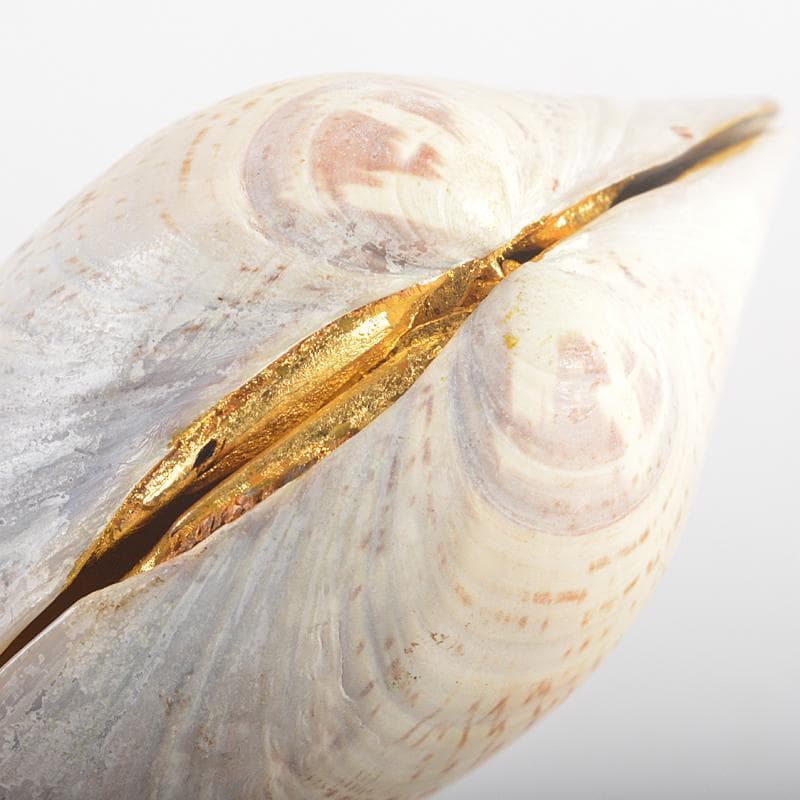 茶道具　塗師　中村宗哲作　老松蒔絵　蛤香合　裏千家十五代鵬雲斎極箱　MR5268