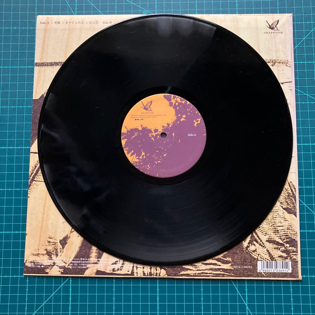 グレイプバイン『覚醒』　アナログ盤