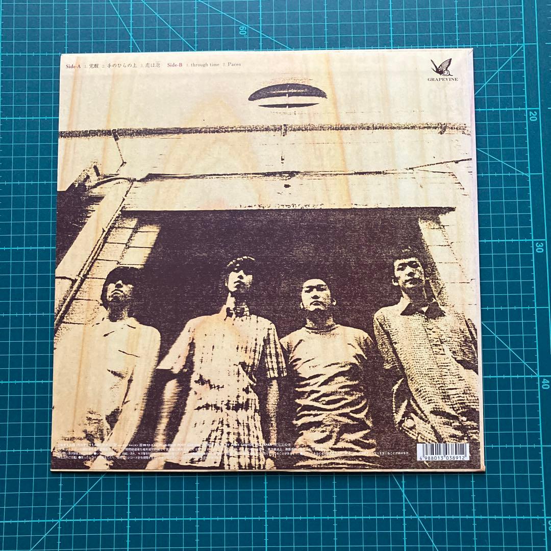 グレイプバイン『覚醒』　アナログ盤