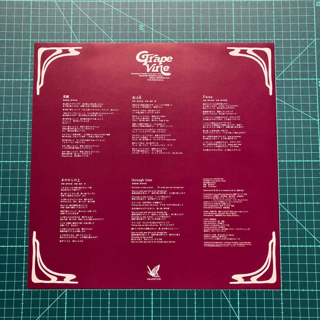 グレイプバイン『覚醒』　アナログ盤