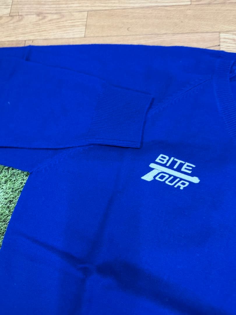 新品正規品ROUGH&SWELL/M】高品質ウール100%Vネックニットセーター