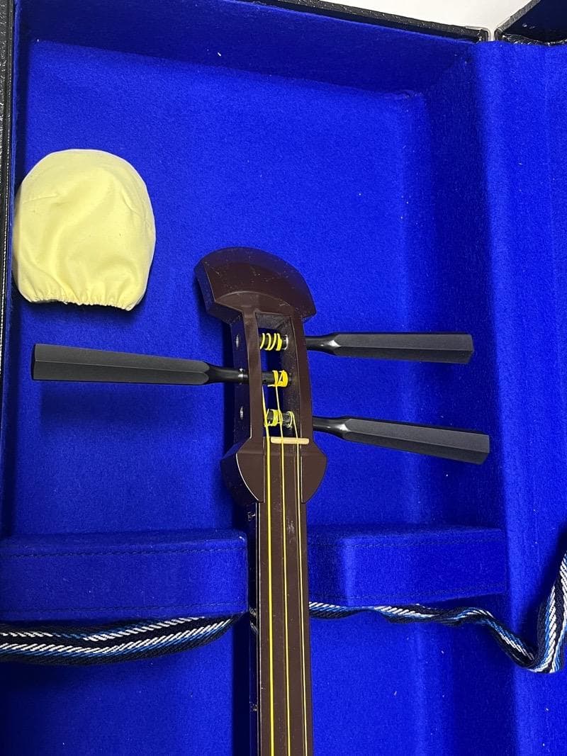 【美品】SUZUKI 三味線 かえで ハードケース付