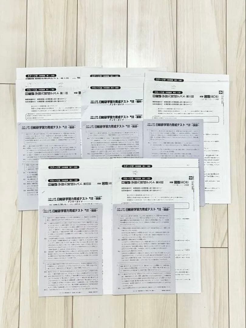 日能研 5年 後期 育成テスト 全9回【2024年】一部アンサーガイド付き