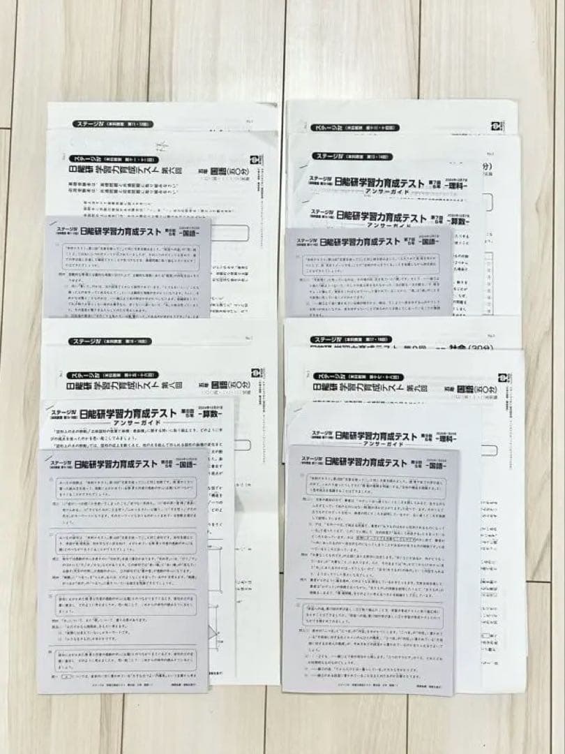 日能研 5年 後期 育成テスト 全9回【2024年】一部アンサーガイド付き