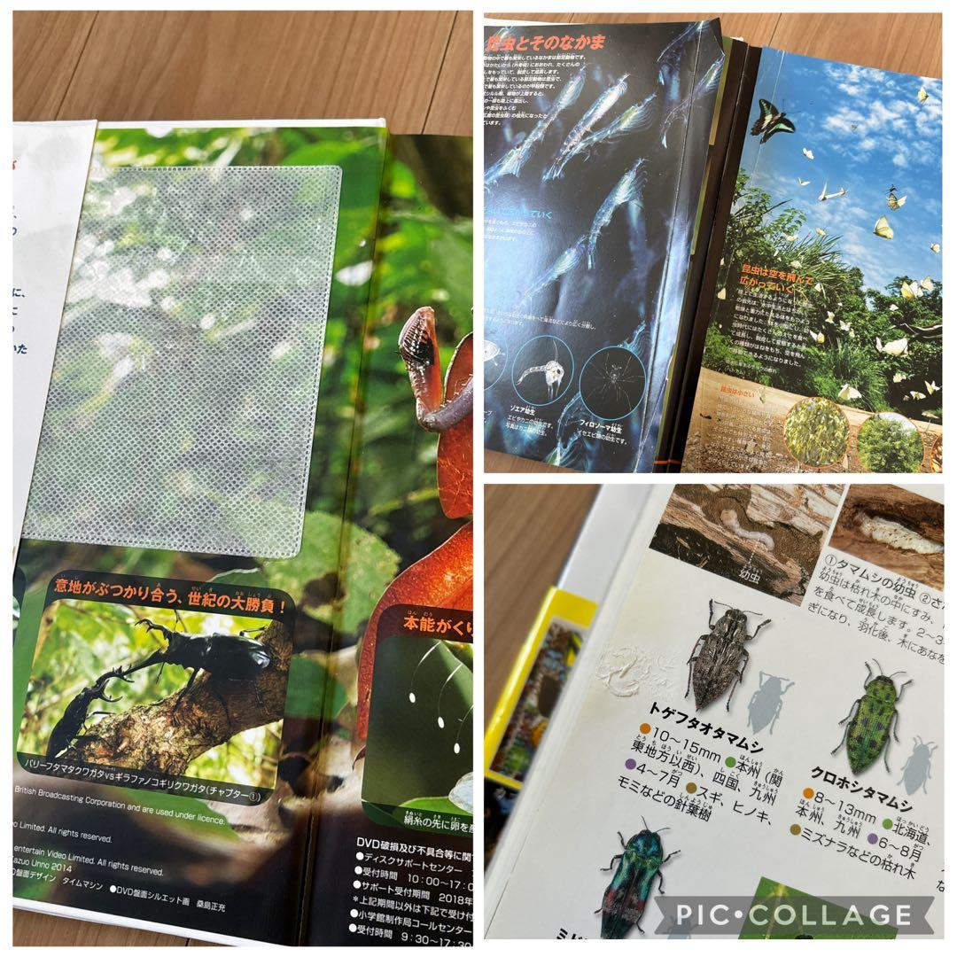 定価26840円　小学館の子ども図鑑　NEO　11冊　セット　DVD付