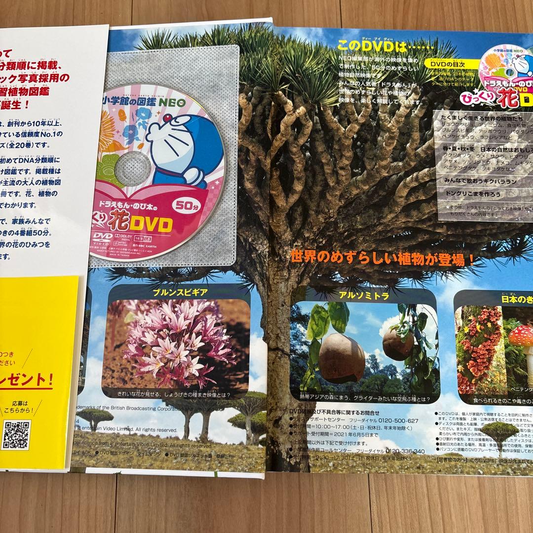 定価26840円　小学館の子ども図鑑　NEO　11冊　セット　DVD付