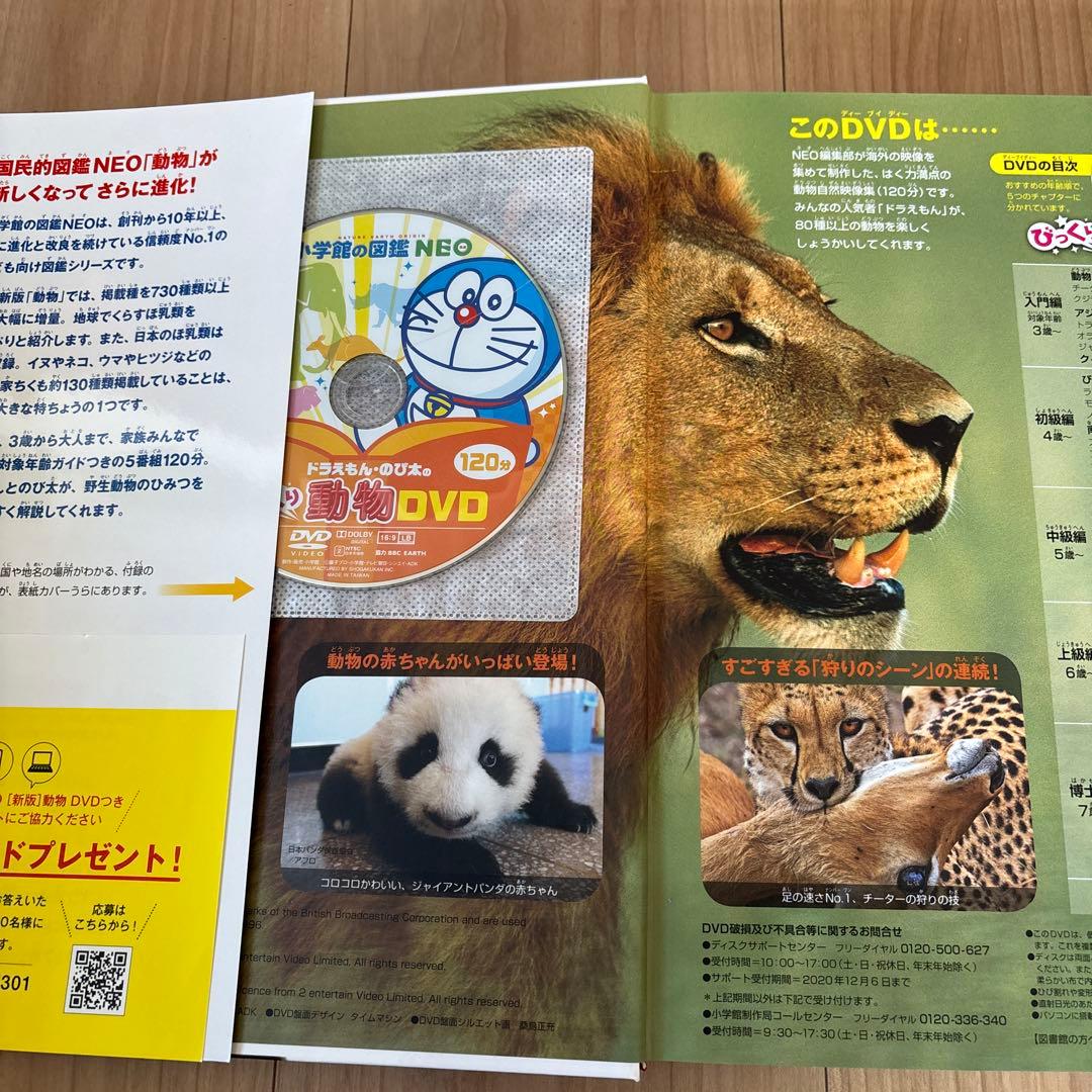 定価26840円　小学館の子ども図鑑　NEO　11冊　セット　DVD付