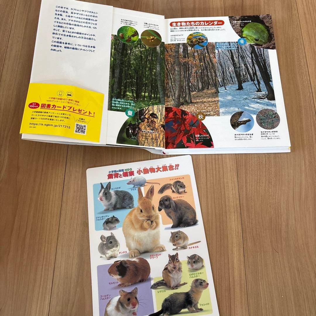 定価26840円　小学館の子ども図鑑　NEO　11冊　セット　DVD付