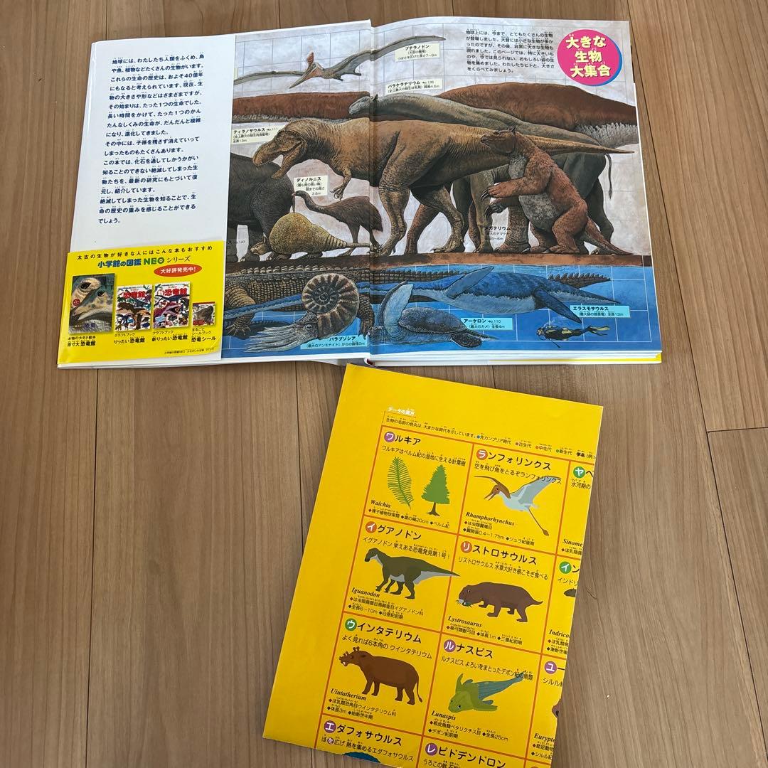 定価26840円　小学館の子ども図鑑　NEO　11冊　セット　DVD付