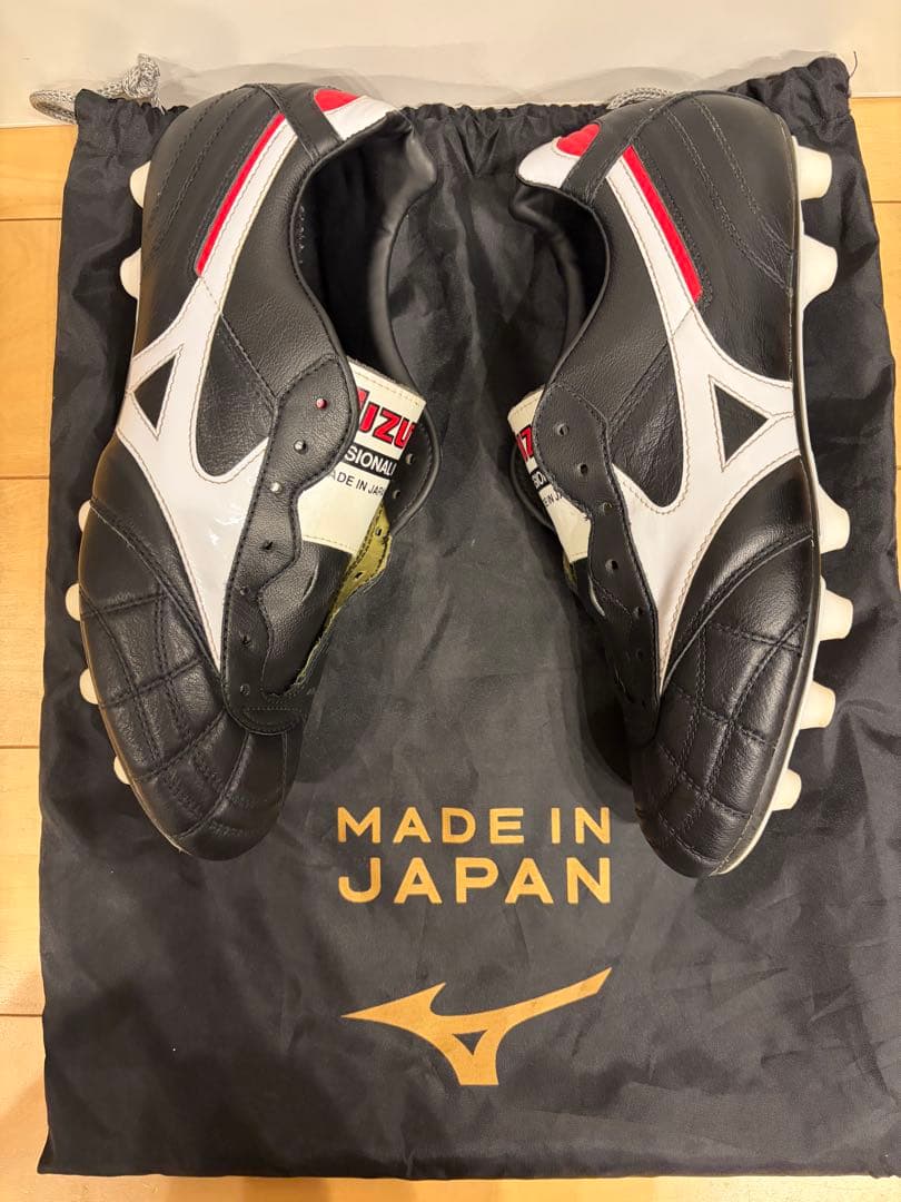 モレリア2 クロスステッチ　25 25.0