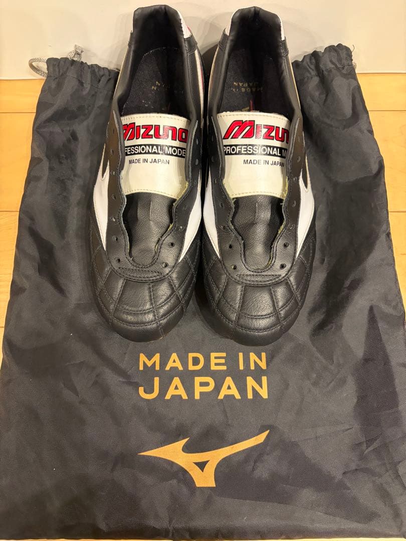 モレリア2 クロスステッチ　25 25.0