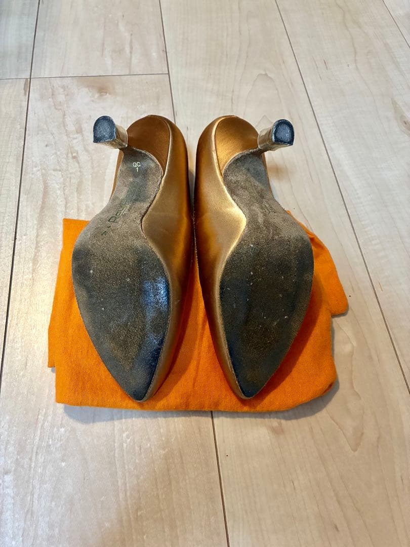 レイ・ローズ　スタンダードシューズ