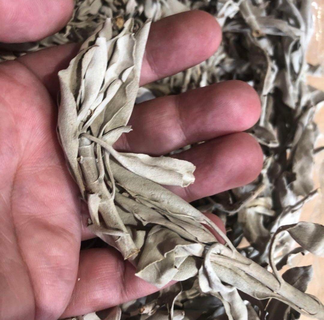 業務用価額☆無農薬ホワイトセージ枝付きクラスター1KG浄化お得