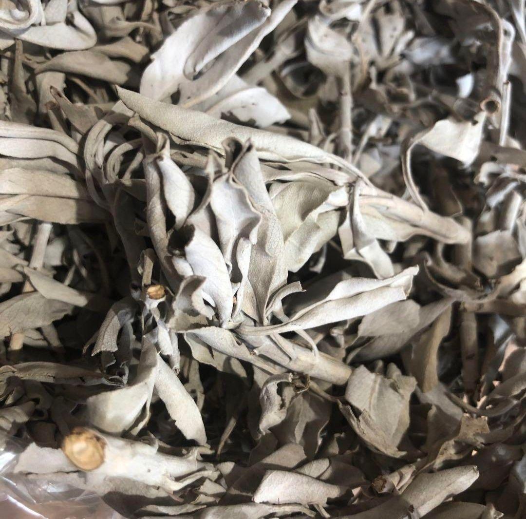 業務用価額☆無農薬ホワイトセージ枝付きクラスター1KG浄化お得