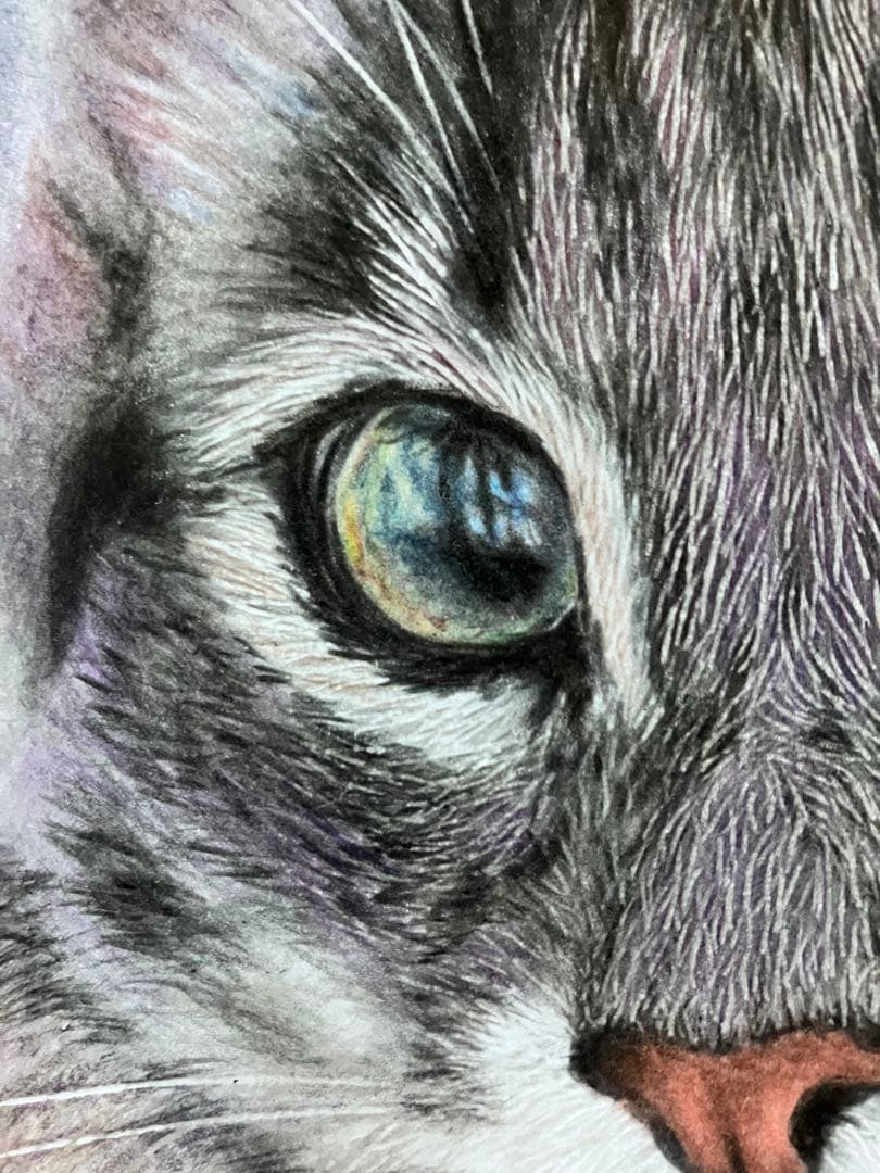 気高き猫 色鉛筆画 パステル