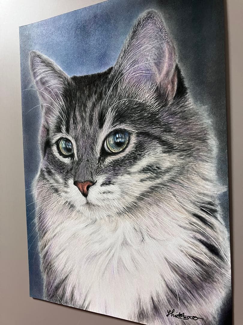 気高き猫 色鉛筆画 パステル