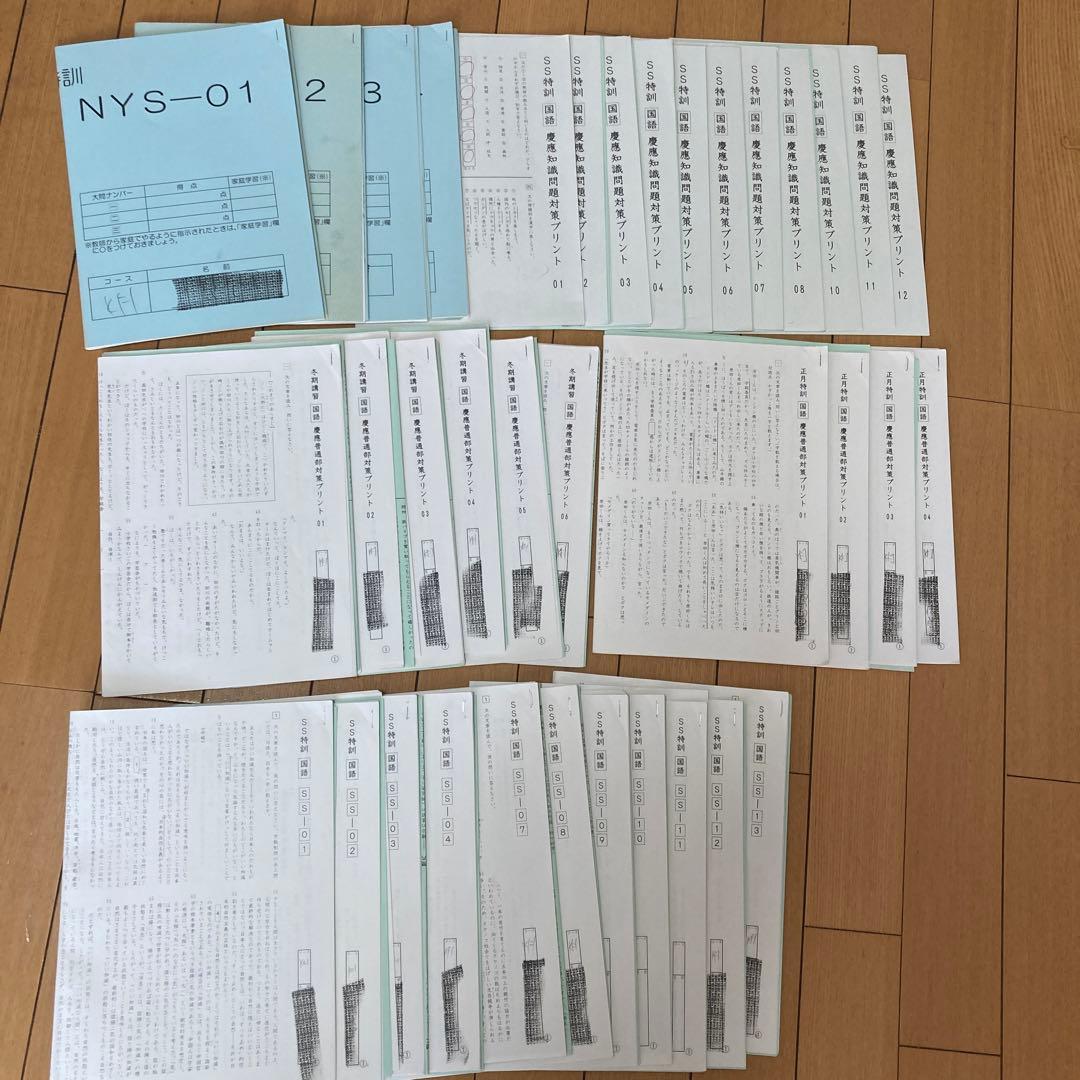 サピックス　国語　志望校別特訓教材　慶應普通部対策