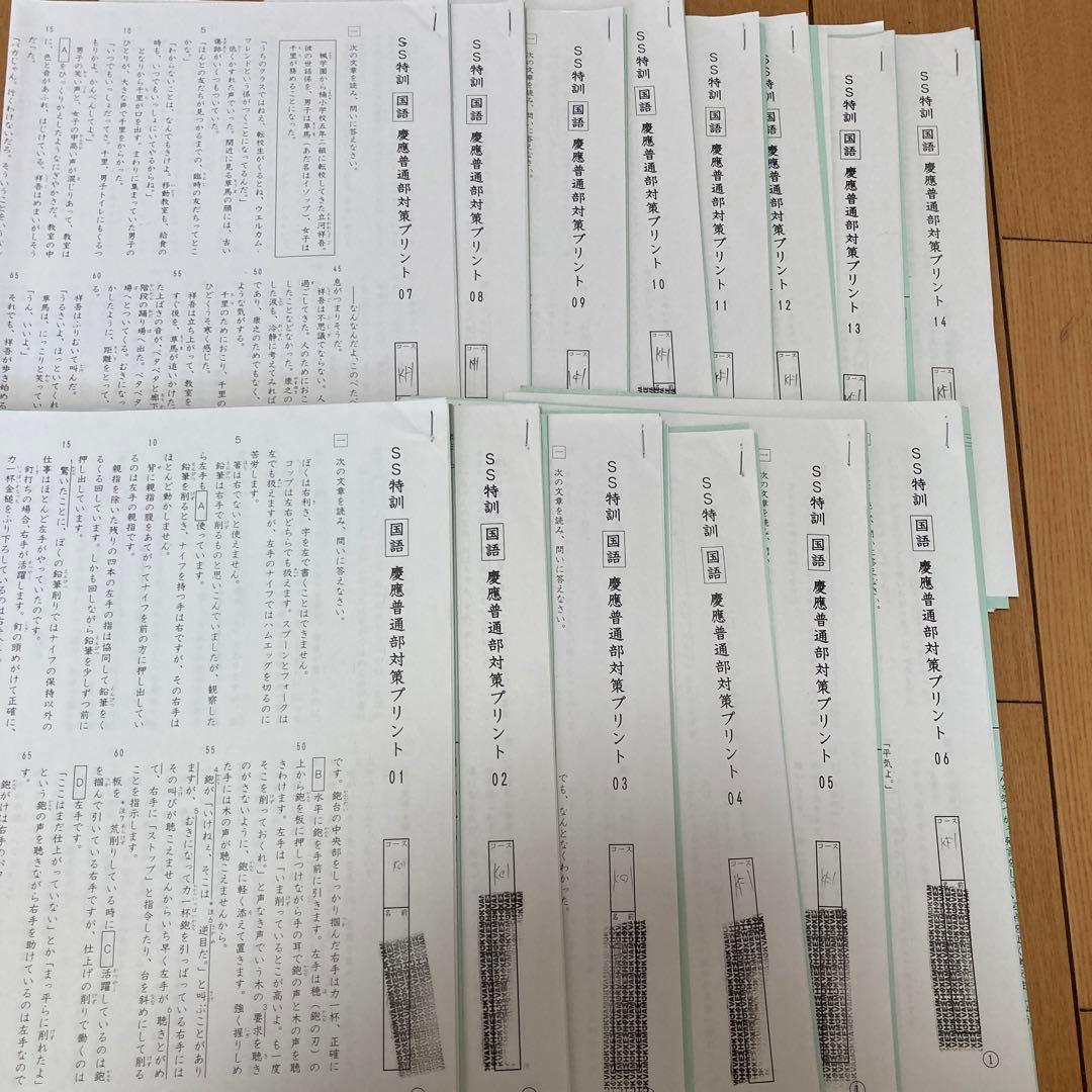 サピックス　国語　志望校別特訓教材　慶應普通部対策