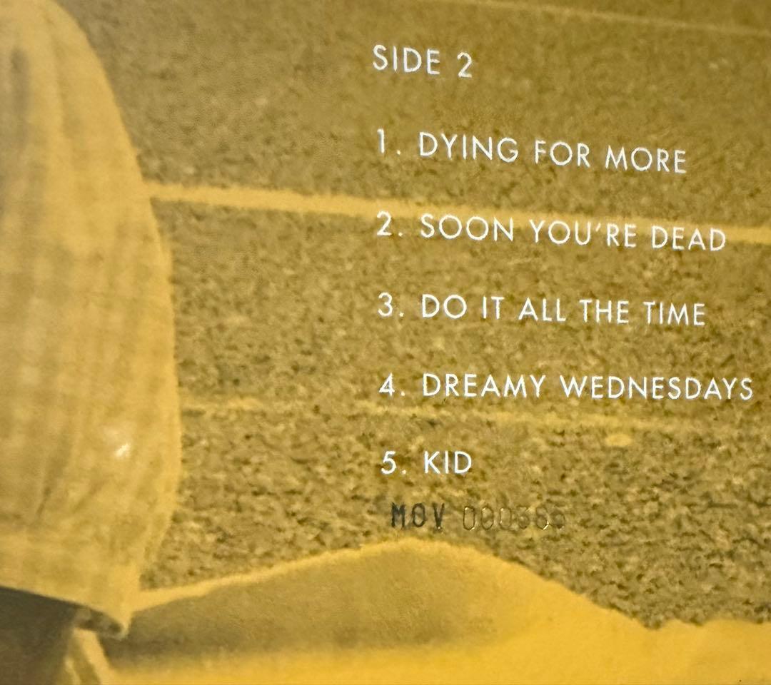 The Wannadies – Be A Girl LP 1000枚限定