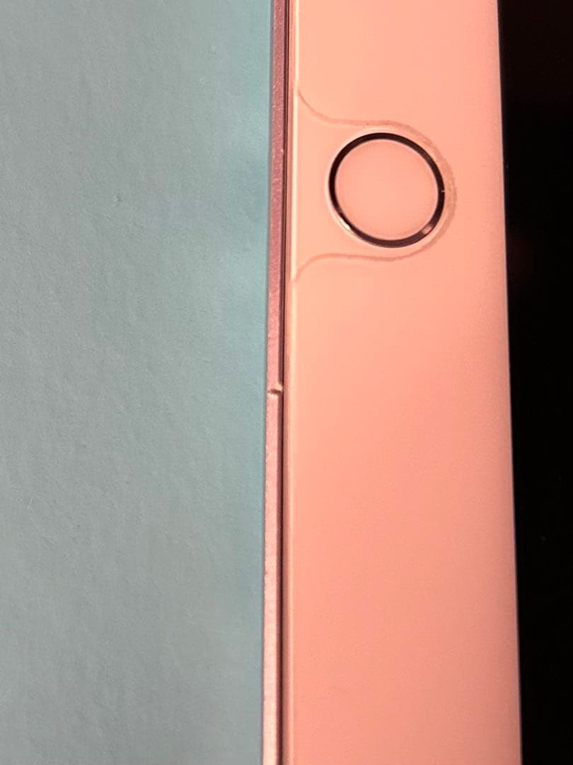 Apple iPad (第6世代) 本体のみ