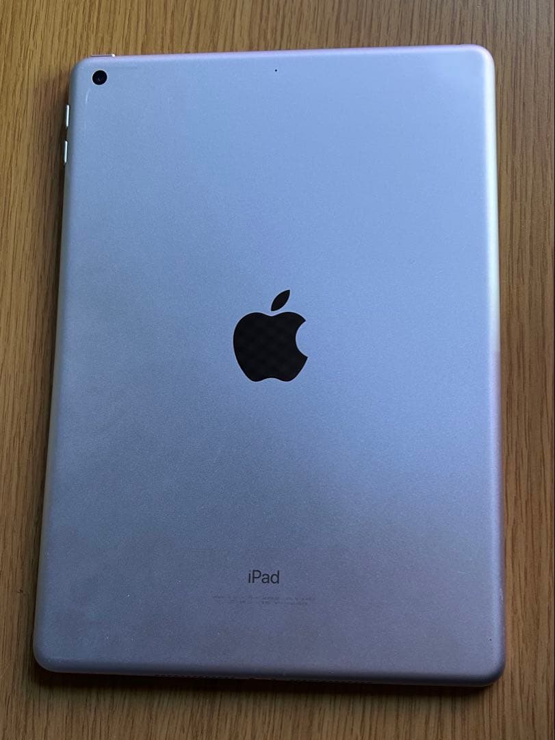Apple iPad (第6世代) 本体のみ