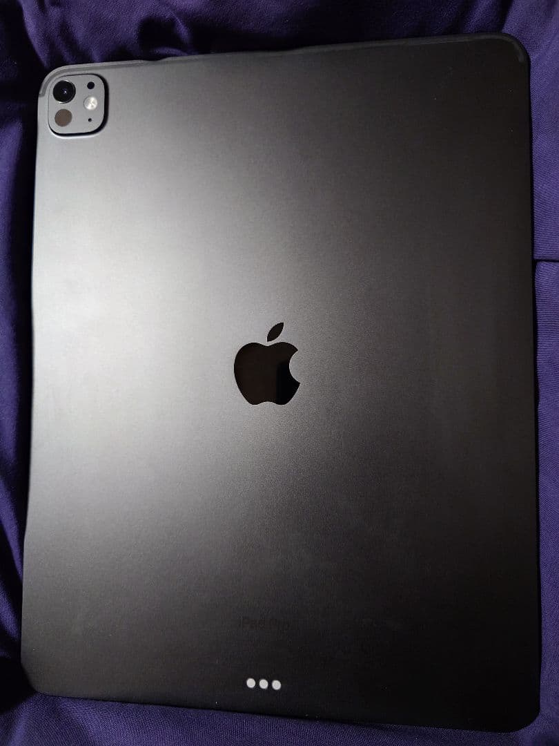 iPad Pro 13インチ M4 256GB Wi-Fi 100%充放電11回