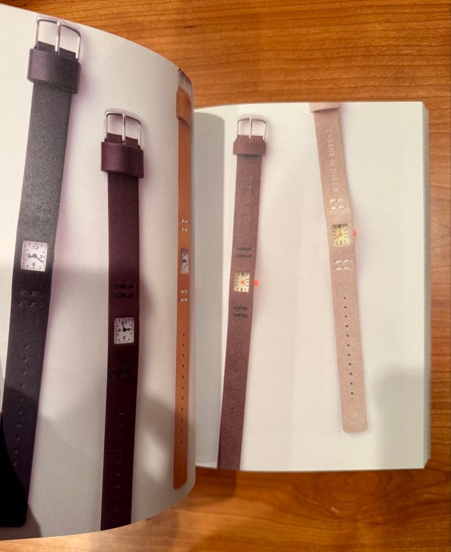 CABANE de ZUCCa B WATCH ブック＋時計セット