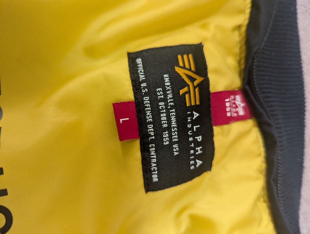 STRICT-G×ALPHA NATUS ガンダムUC リディモデル MA-1