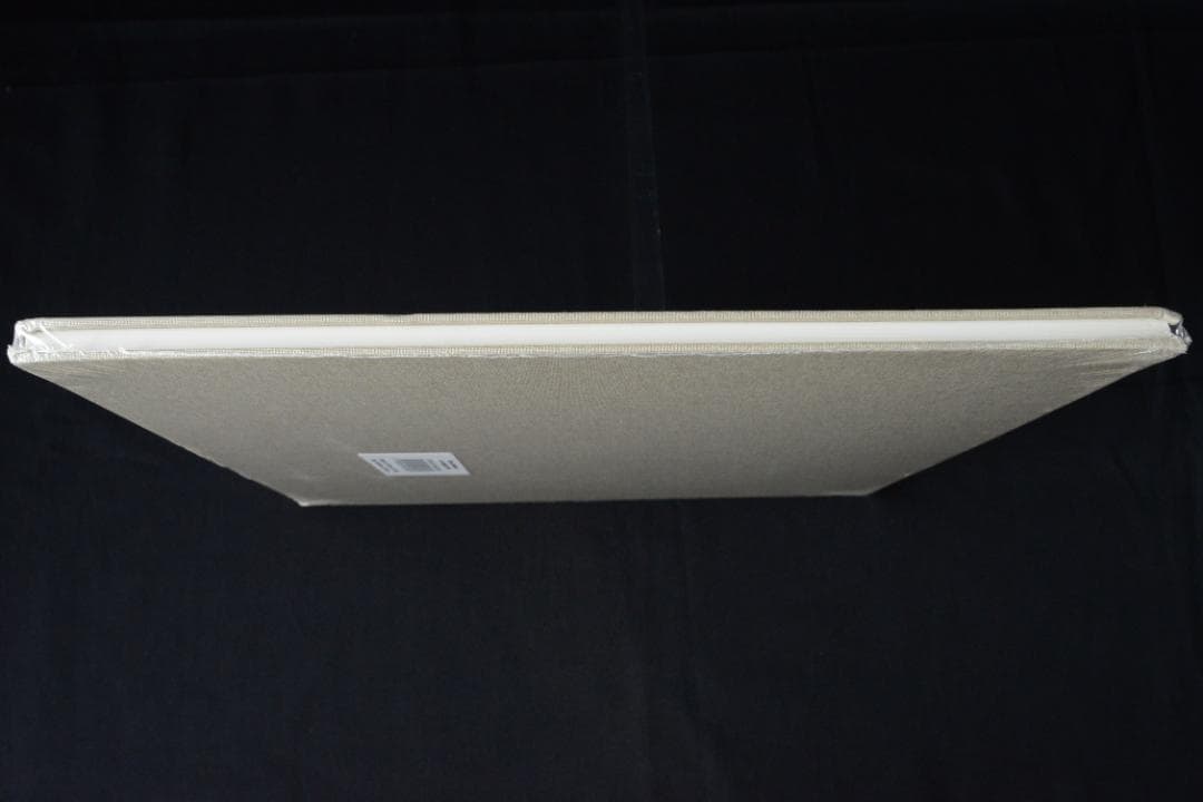 【Bruce Davidson：Los Angeles1964】★値下げしました