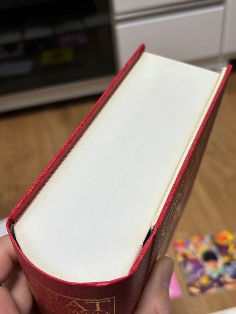 岡村靖幸 色々セット