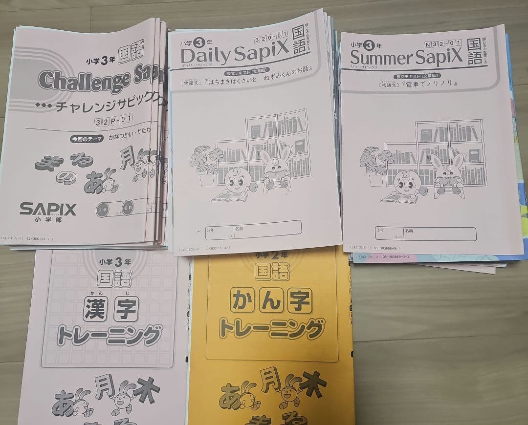 Sapix 小学生3年生　国語セット（全）