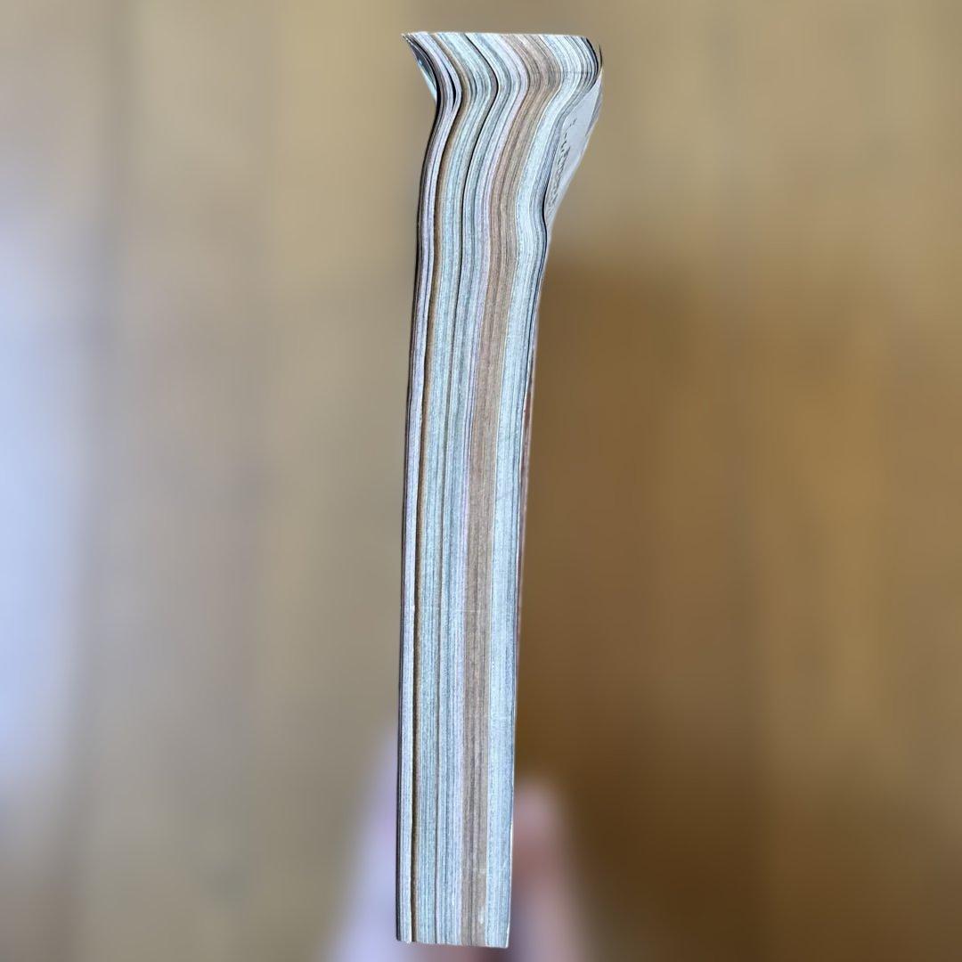 週刊少年ジャンプ 1999年2・3号 ヒカルの碁 新連載号