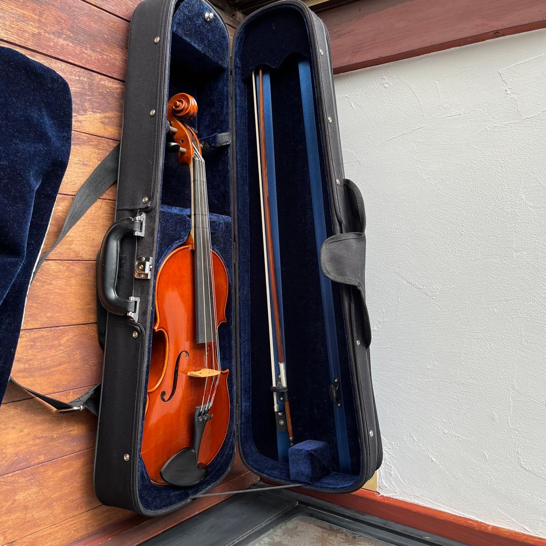 15 インチ　サイズ　ビオラ