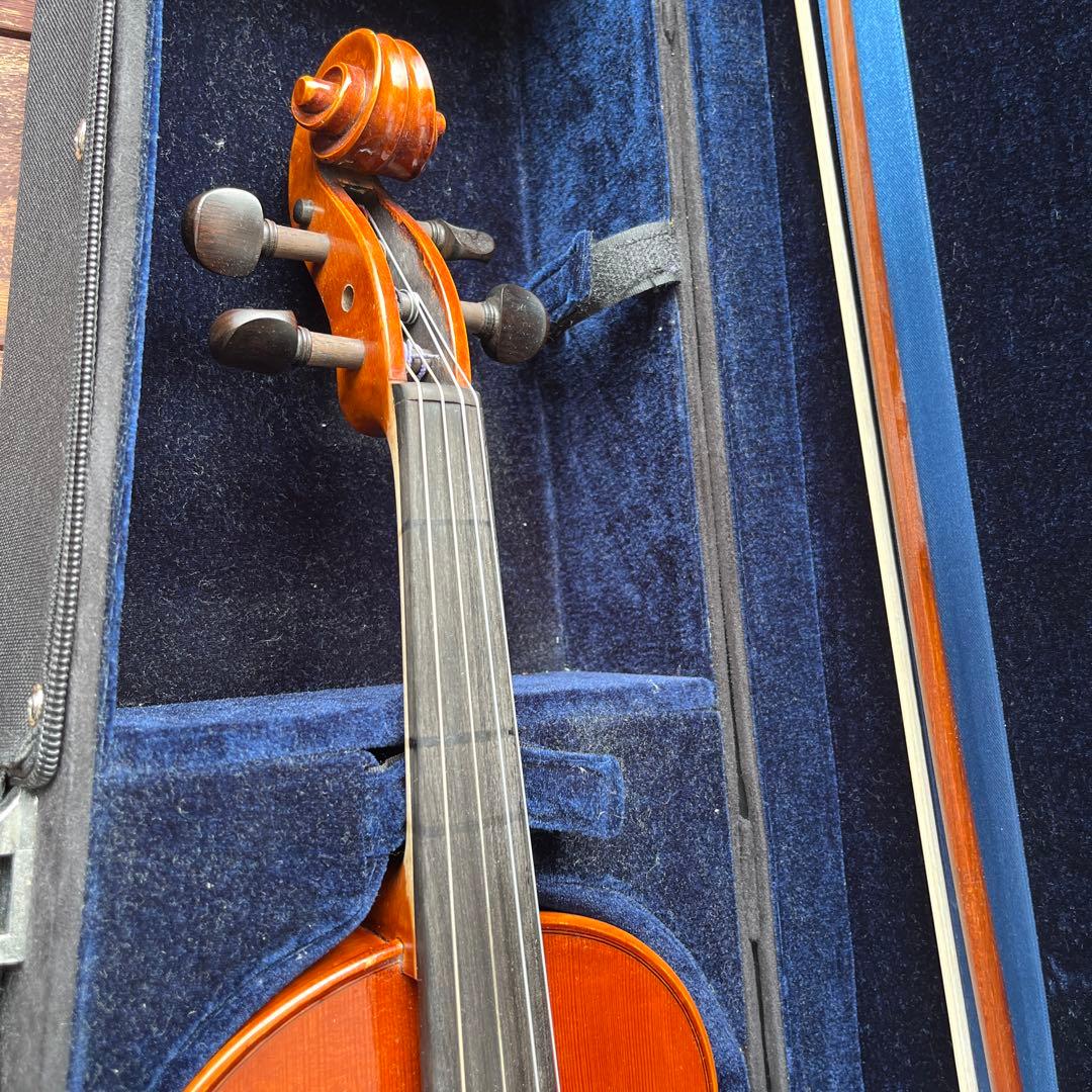 15 インチ　サイズ　ビオラ