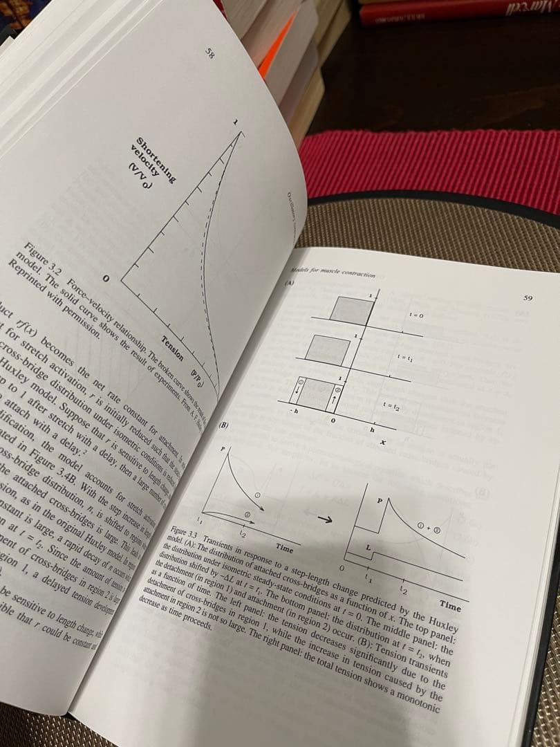 洋書 The Dynamics of Cellular Motility