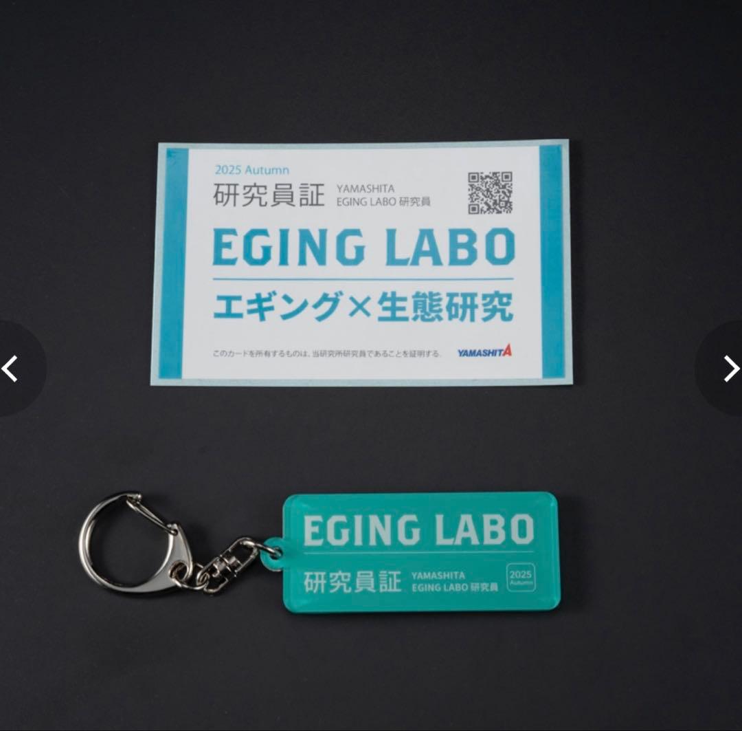 ヤマシタ 限定 エギ王K 3号 (EGING LABO) ポラマジ