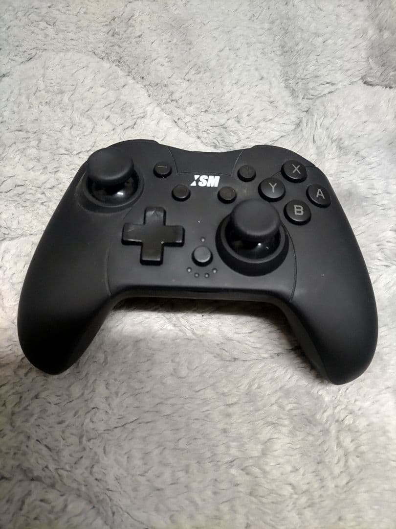 NintendoSwitch Liteターコイズ本体+Switchコントローラー