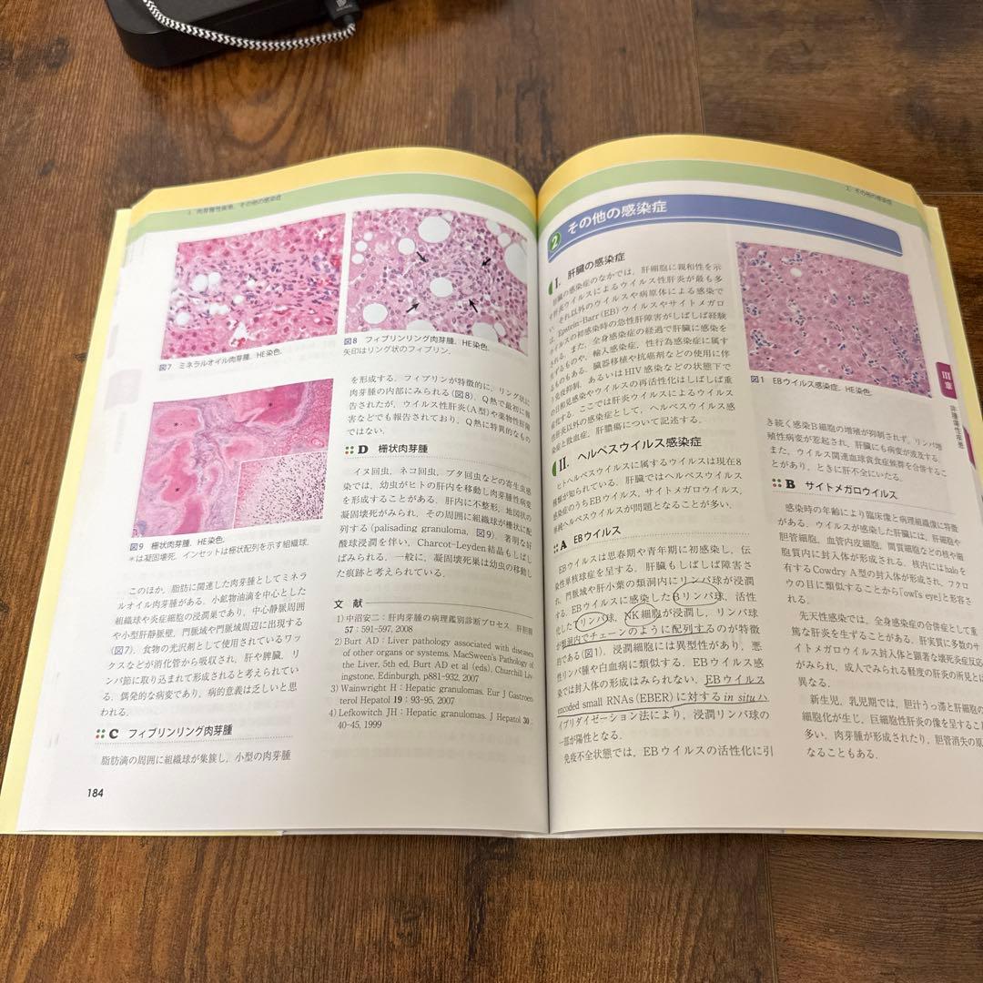 肝臓を診る医師のための肝臓病理テキスト